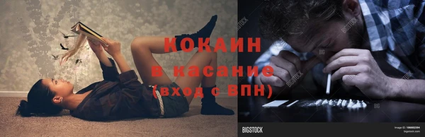 дурь Сосновый Бор