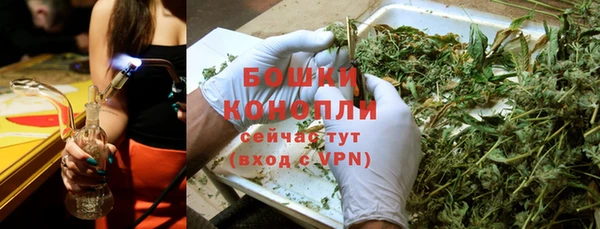 гидра Сосновка