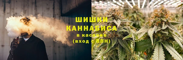 молекула духа Бородино